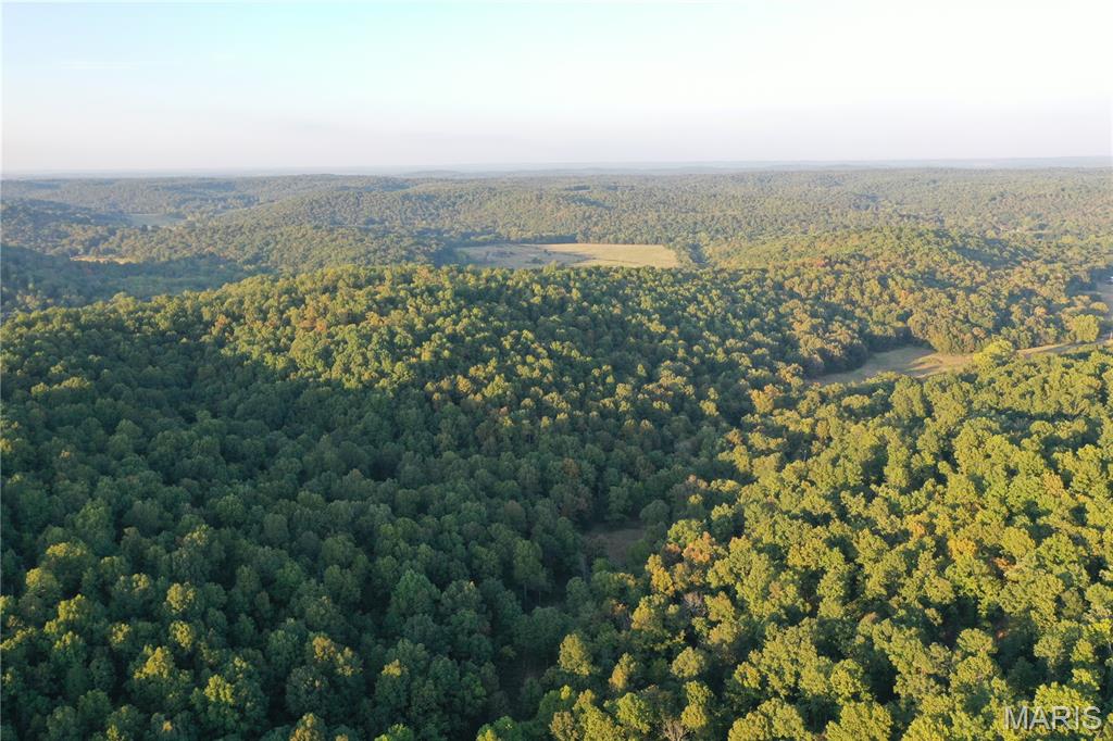 Tdb Upper Janes Creek Road Ravenden, AR 72459 - Photo 26 of 84