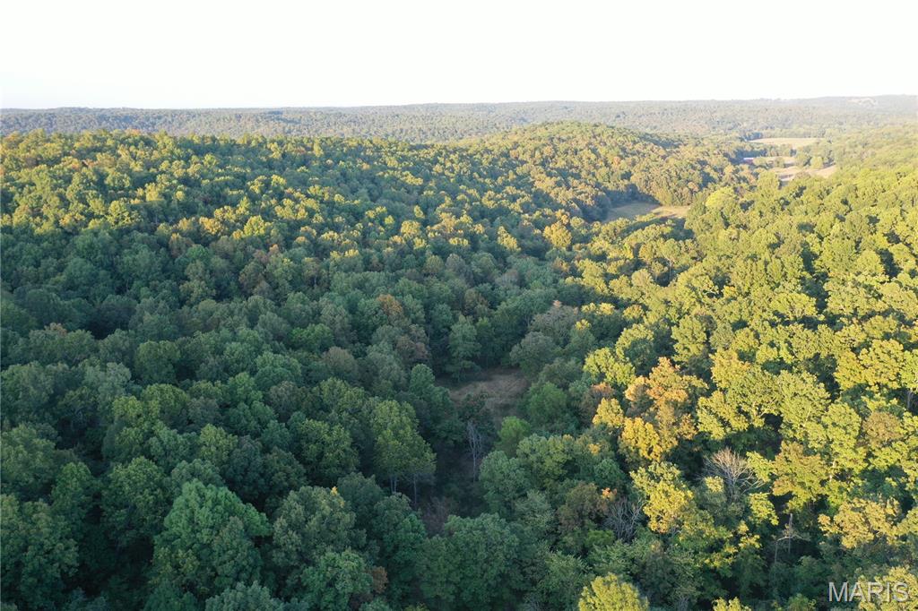 Tdb Upper Janes Creek Road Ravenden, AR 72459 - Photo 29 of 84