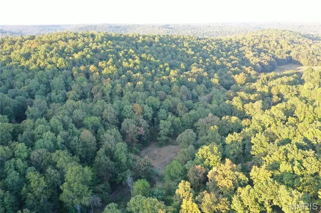$239,000 | Tdb Upper Janes Creek Road, Ravenden, AR 72459