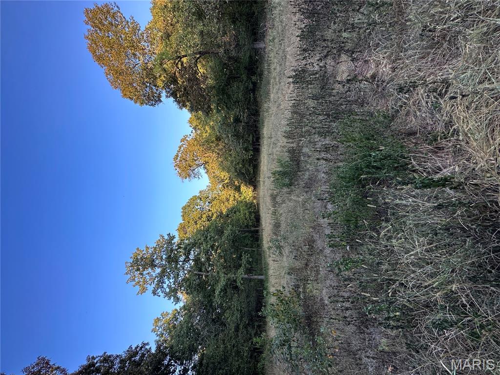 Tdb Upper Janes Creek Road Ravenden, AR 72459 - Photo 3 of 84