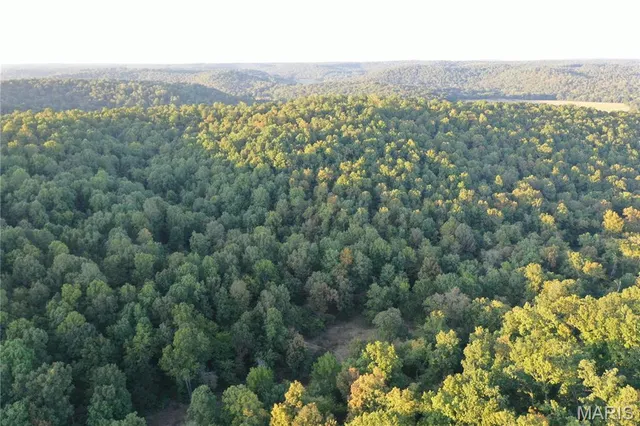 $239,000 | Tdb Upper Janes Creek Road, Ravenden, AR 72459