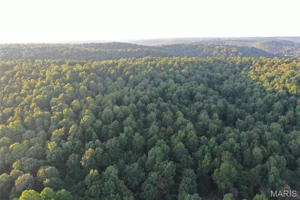 Tdb Upper Janes Creek Road Ravenden, AR 72459 - Photo 32 of 84