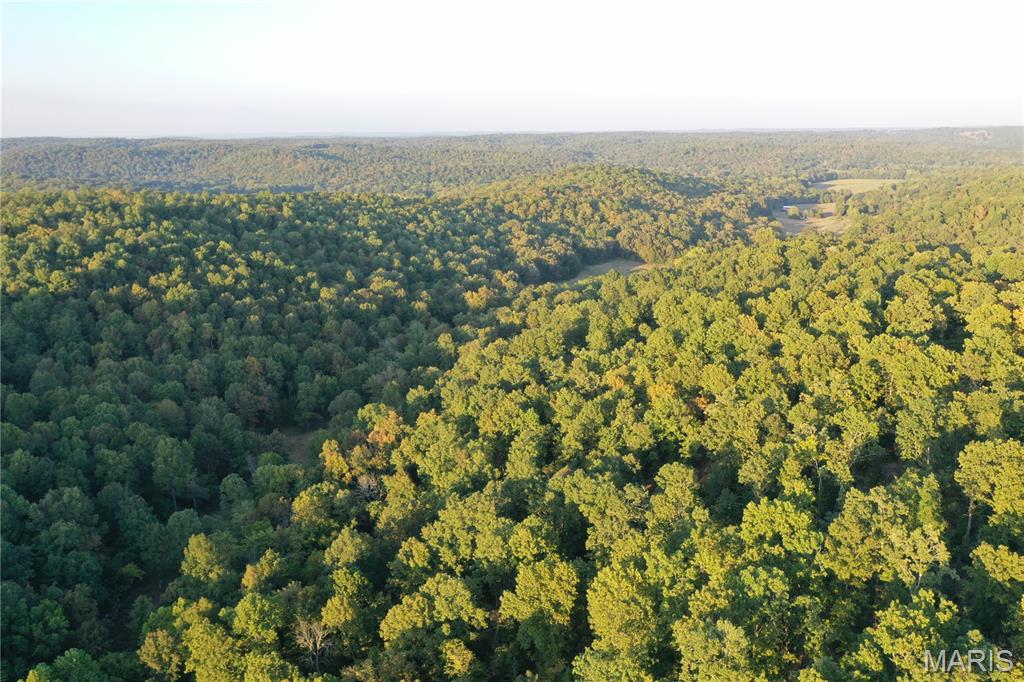 Tdb Upper Janes Creek Road Ravenden, AR 72459 - Photo 33 of 84