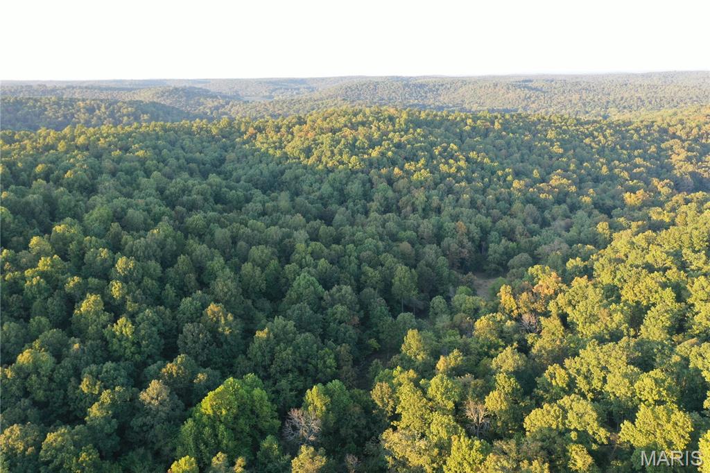 Tdb Upper Janes Creek Road Ravenden, AR 72459 - Photo 34 of 84