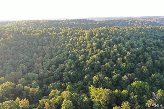 $239,000 | Tdb Upper Janes Creek Road, Ravenden, AR 72459