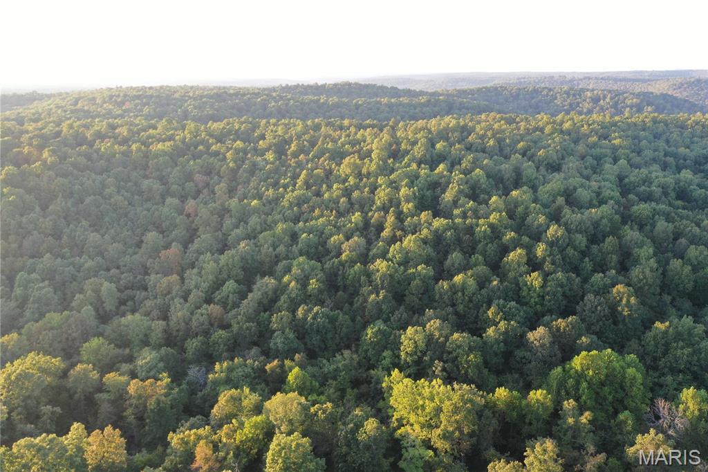 Tdb Upper Janes Creek Road Ravenden, AR 72459 - Photo 35 of 84