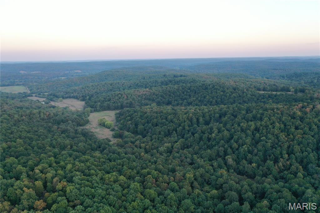 Tdb Upper Janes Creek Road Ravenden, AR 72459 - Photo 39 of 84