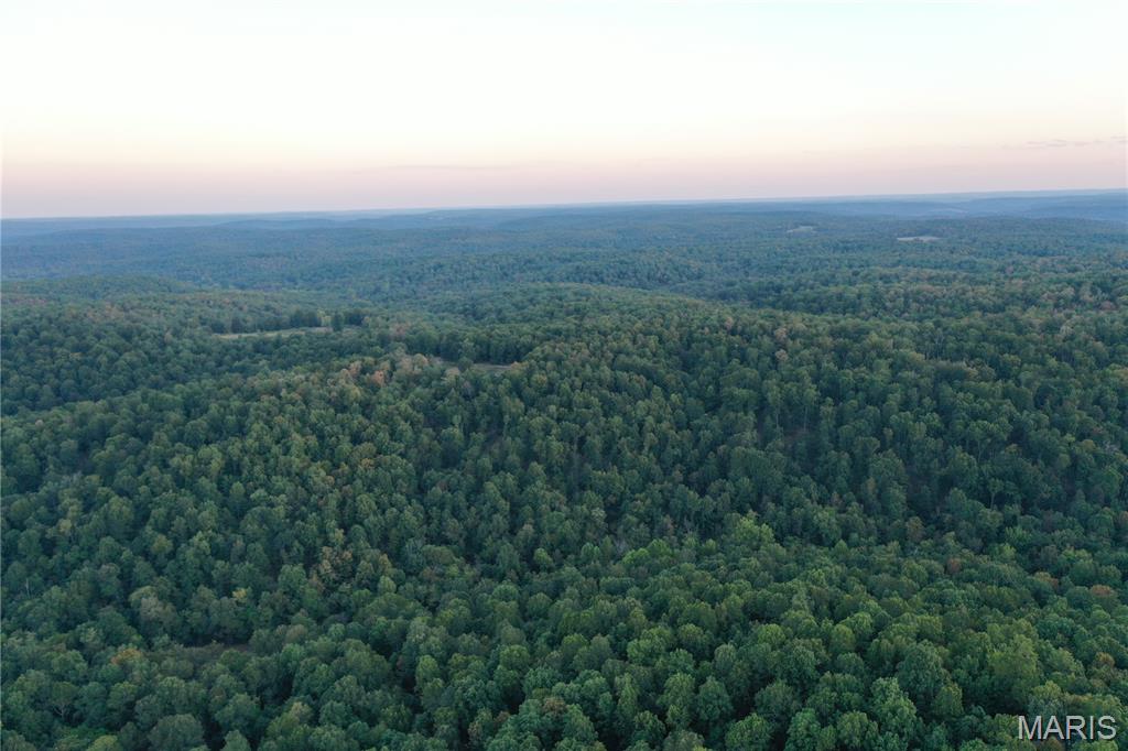 Tdb Upper Janes Creek Road Ravenden, AR 72459 - Photo 40 of 84
