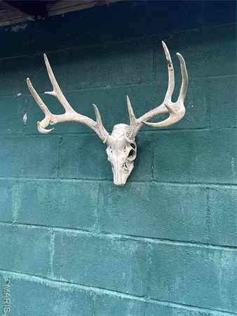 $224,950 | Tdb Upper Janes Creek Road, Ravenden, AR 72459