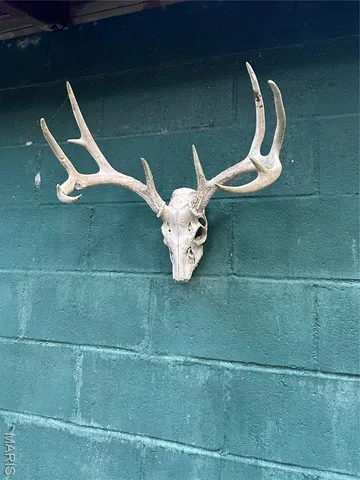 $239,000 | Tdb Upper Janes Creek Road, Ravenden, AR 72459