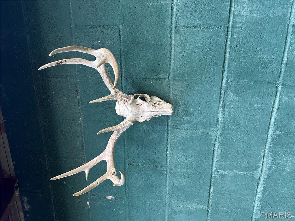 Tdb Upper Janes Creek Road Ravenden, AR 72459 - Photo 4 of 84