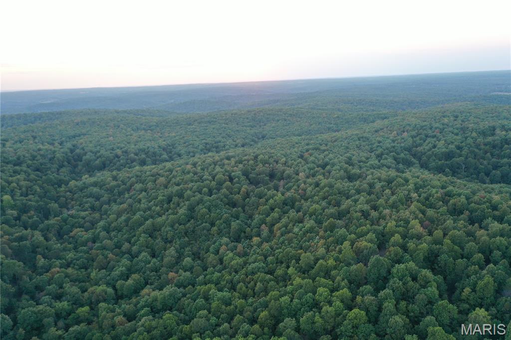 Tdb Upper Janes Creek Road Ravenden, AR 72459 - Photo 42 of 84