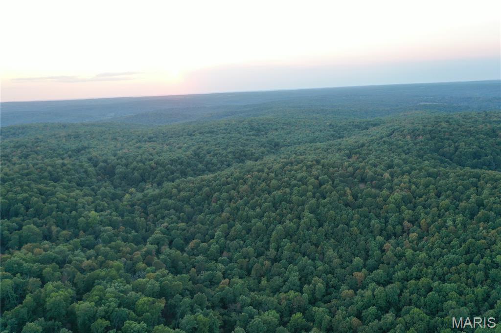 Tdb Upper Janes Creek Road Ravenden, AR 72459 - Photo 43 of 84