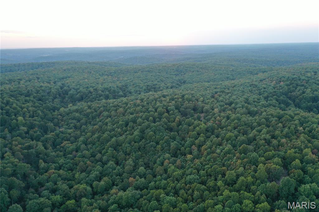 Tdb Upper Janes Creek Road Ravenden, AR 72459 - Photo 44 of 84