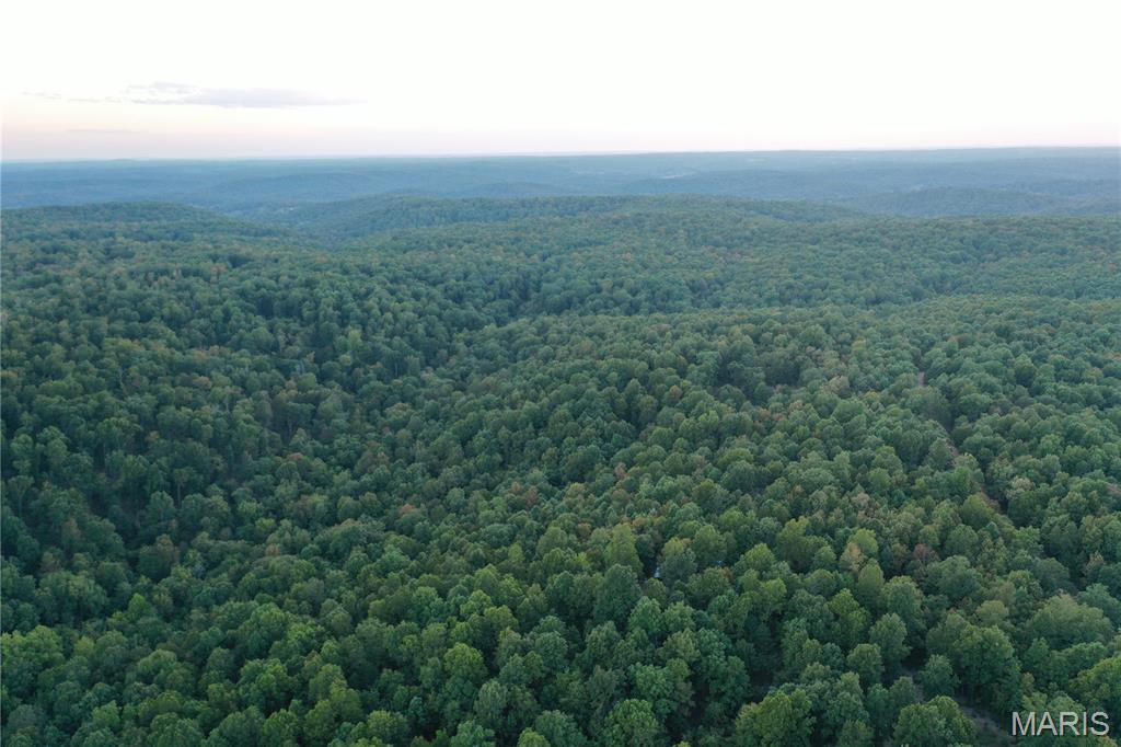 Tdb Upper Janes Creek Road Ravenden, AR 72459 - Photo 46 of 84