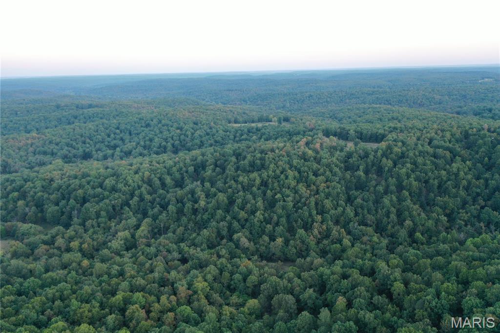 Tdb Upper Janes Creek Road Ravenden, AR 72459 - Photo 49 of 84