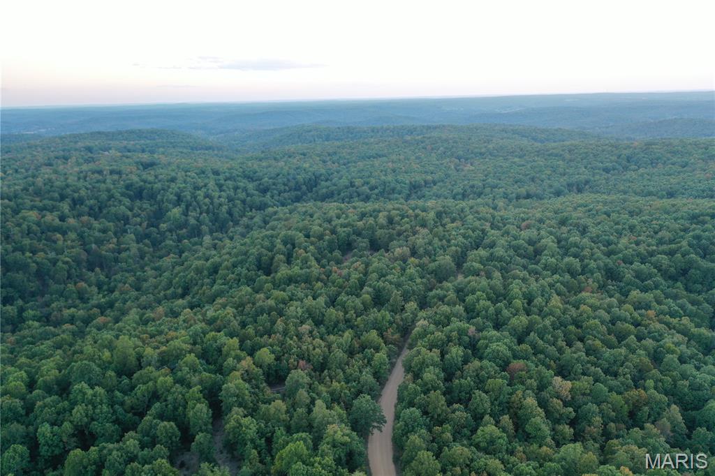 Tdb Upper Janes Creek Road Ravenden, AR 72459 - Photo 50 of 84