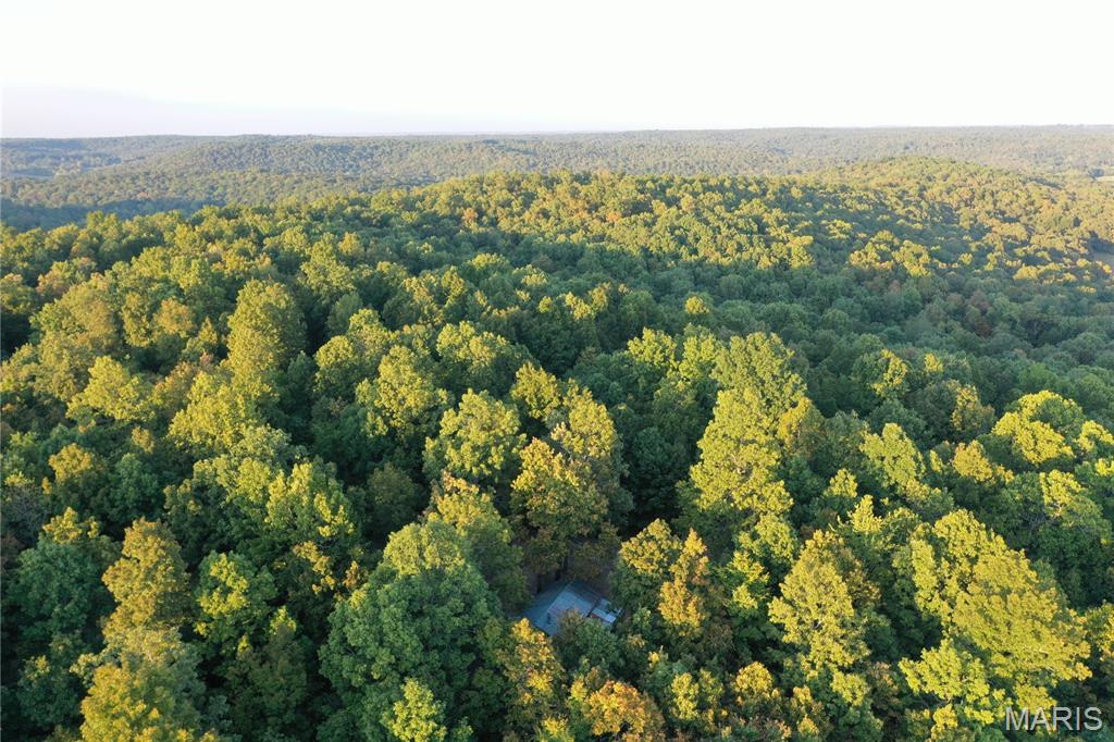 Tdb Upper Janes Creek Road Ravenden, AR 72459 - Photo 5 of 84