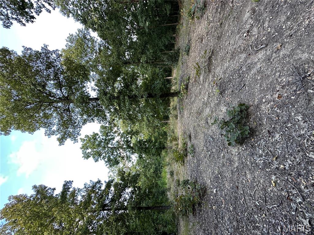 Tdb Upper Janes Creek Road Ravenden, AR 72459 - Photo 52 of 84