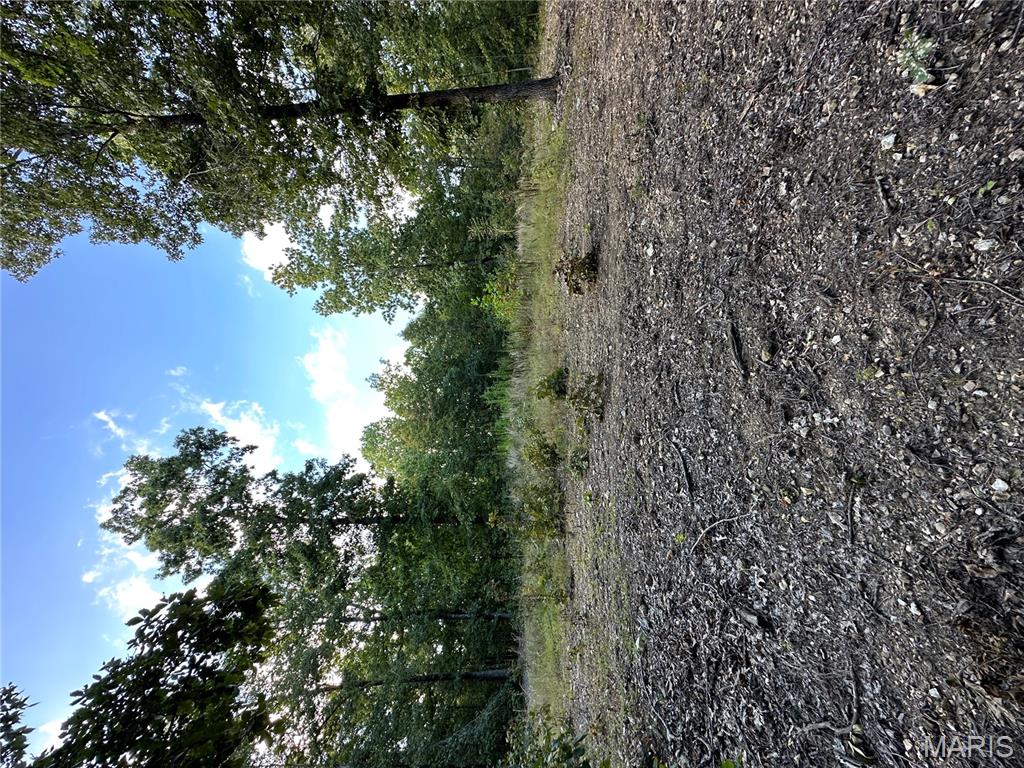 Tdb Upper Janes Creek Road Ravenden, AR 72459 - Photo 53 of 84