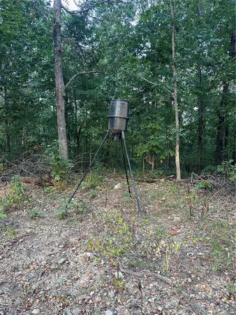 $224,950 | Tdb Upper Janes Creek Road, Ravenden, AR 72459