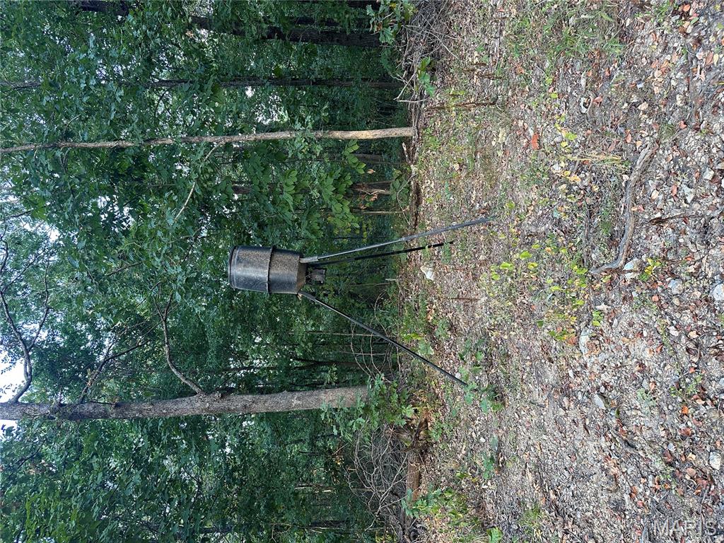 Tdb Upper Janes Creek Road Ravenden, AR 72459 - Photo 54 of 84