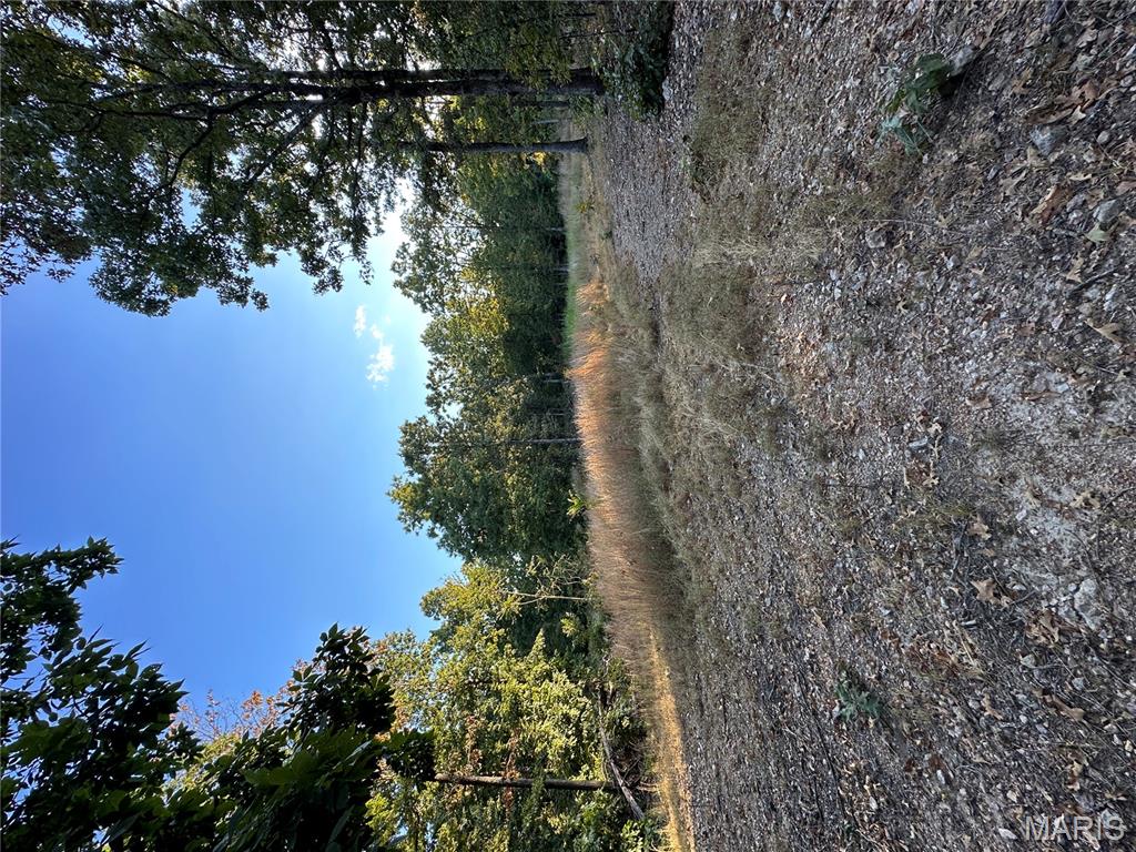 Tdb Upper Janes Creek Road Ravenden, AR 72459 - Photo 63 of 84