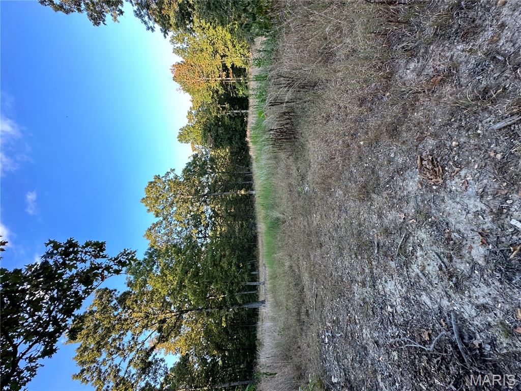 Tdb Upper Janes Creek Road Ravenden, AR 72459 - Photo 64 of 84