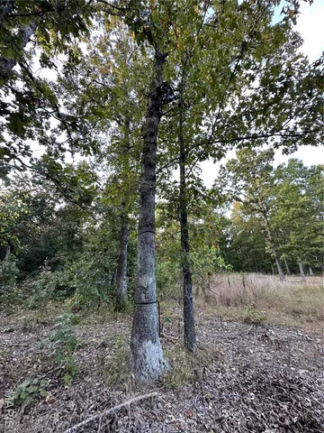 $239,000 | Tdb Upper Janes Creek Road, Ravenden, AR 72459