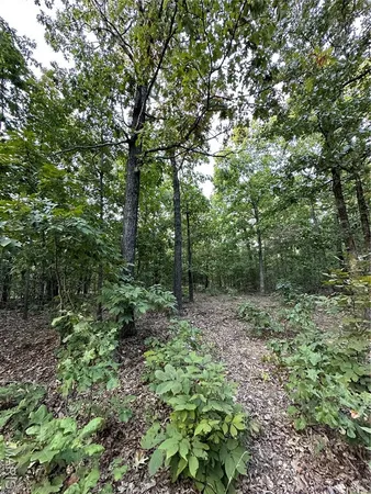 $224,950 | Tdb Upper Janes Creek Road, Ravenden, AR 72459