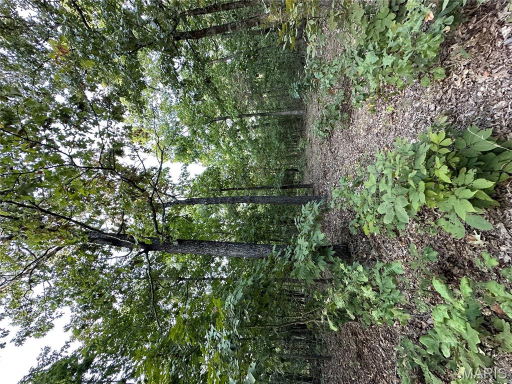 Tdb Upper Janes Creek Road Ravenden, AR 72459 - Photo 66 of 84