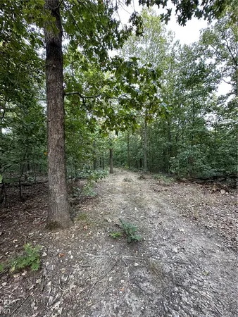 $224,950 | Tdb Upper Janes Creek Road, Ravenden, AR 72459