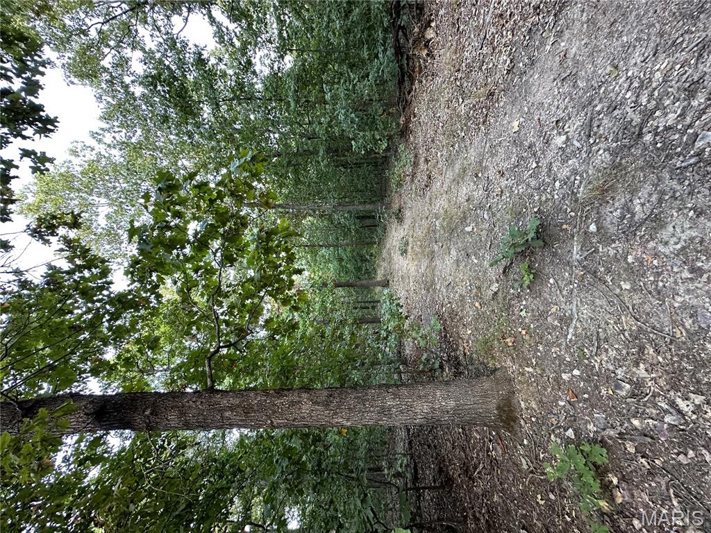 Tdb Upper Janes Creek Road Ravenden, AR 72459 - Photo 67 of 84