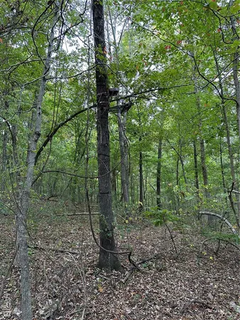 $224,950 | Tdb Upper Janes Creek Road, Ravenden, AR 72459