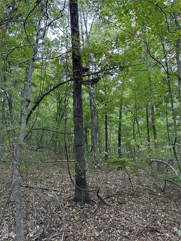 $239,000 | Tdb Upper Janes Creek Road, Ravenden, AR 72459