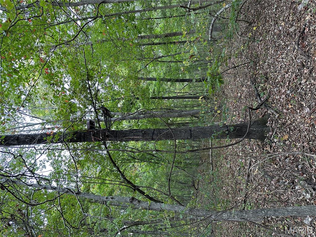 Tdb Upper Janes Creek Road Ravenden, AR 72459 - Photo 68 of 84