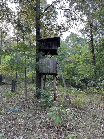 $224,950 | Tdb Upper Janes Creek Road, Ravenden, AR 72459