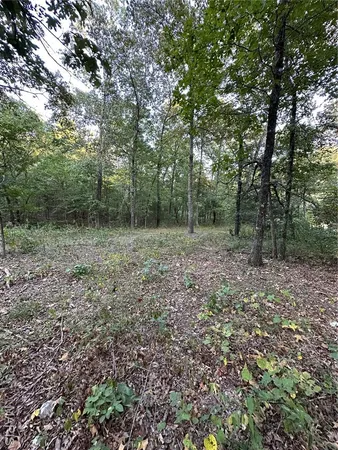 $224,950 | Tdb Upper Janes Creek Road, Ravenden, AR 72459