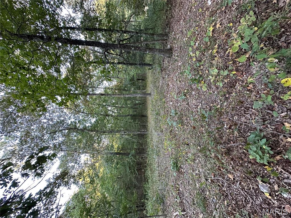 Tdb Upper Janes Creek Road Ravenden, AR 72459 - Photo 70 of 84