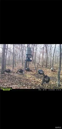 $224,950 | Tdb Upper Janes Creek Road, Ravenden, AR 72459