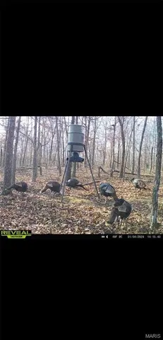 $239,000 | Tdb Upper Janes Creek Road, Ravenden, AR 72459