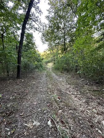 $224,950 | Tdb Upper Janes Creek Road, Ravenden, AR 72459
