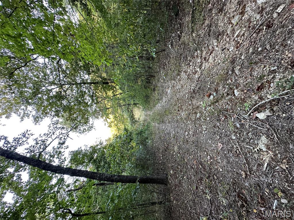 Tdb Upper Janes Creek Road Ravenden, AR 72459 - Photo 71 of 84