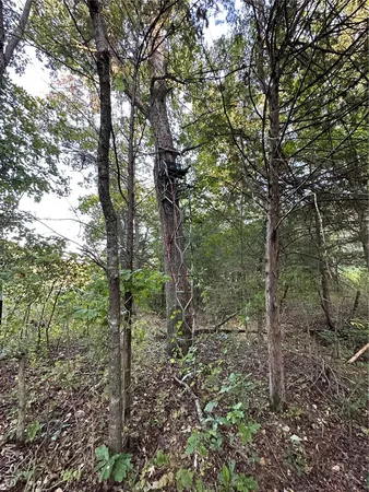 $224,950 | Tdb Upper Janes Creek Road, Ravenden, AR 72459