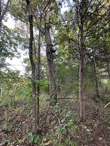 $239,000 | Tdb Upper Janes Creek Road, Ravenden, AR 72459