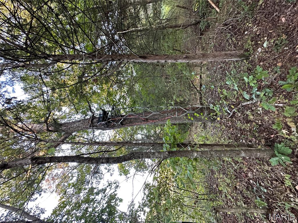 Tdb Upper Janes Creek Road Ravenden, AR 72459 - Photo 72 of 84