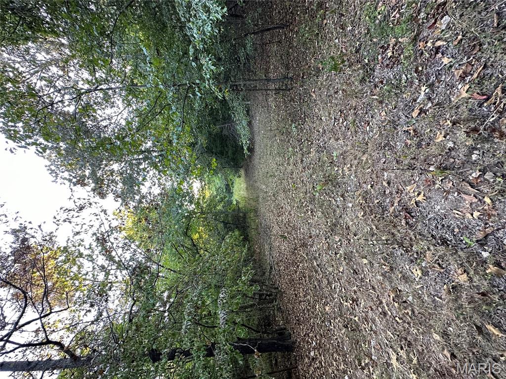 Tdb Upper Janes Creek Road Ravenden, AR 72459 - Photo 73 of 84