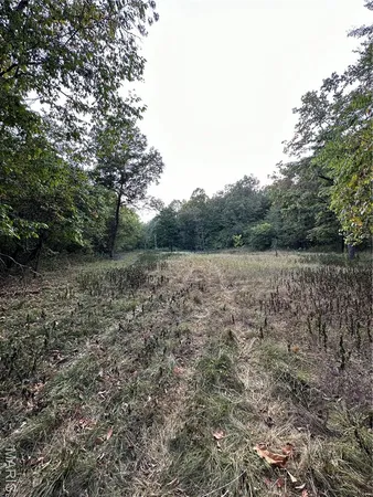 $224,950 | Tdb Upper Janes Creek Road, Ravenden, AR 72459