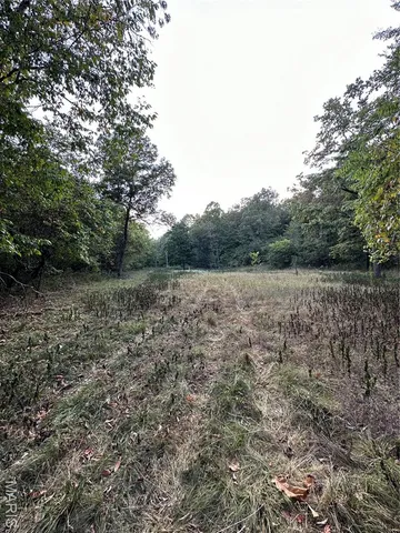 $239,000 | Tdb Upper Janes Creek Road, Ravenden, AR 72459