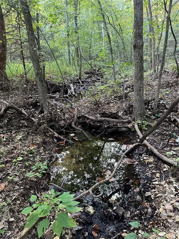 $239,000 | Tdb Upper Janes Creek Road, Ravenden, AR 72459